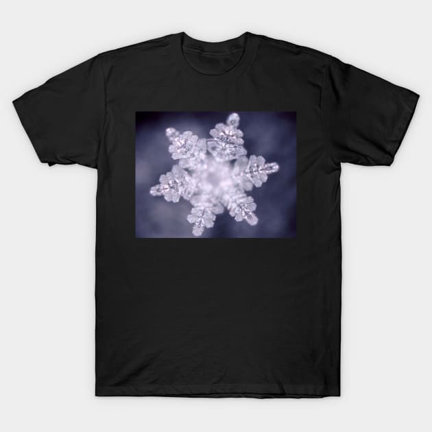 Snow flake T-Shirt by foxxya